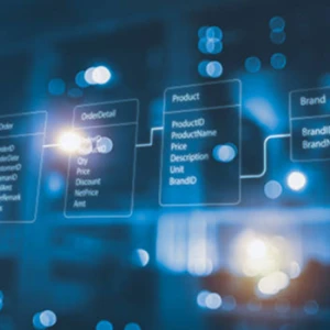 Professional Orthopedic Surgeon