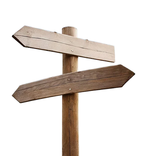 Writer Storyteller Advisor